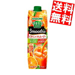【送料無料】 カゴメ 野菜生活100 Smoothie ビタミンスムージー 1000g紙パック 12本(6本×2ケース) 野菜生活スムージー 野菜ジュース ※北海道800円・東北400円の別途送料加算
