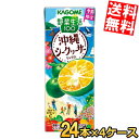 【送料無料】 カゴメ 野菜生活100 沖縄シークヮーサーミックス 195ml紙パック 96本(24本×4ケース) 季節限定 シークワーサーミックス 沖縄 野菜ジュース やさいジュース 沖縄シークワーサー シークワサー ※北海道800円・東北400円の別途送料加算