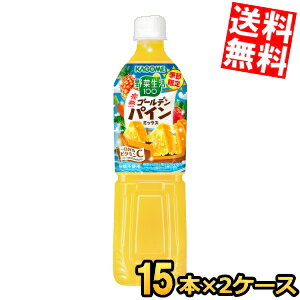 Mix - 6月2日発売【送料無料】カゴメ 野菜生活100 完熟ゴールデンパインミックス 720mlペットボトル 30本(15本×2ケース) 野菜ジュース やさいジュース 季節限定 パインアップル パイナップル ※北海道800円・東北400円の別途送料加算