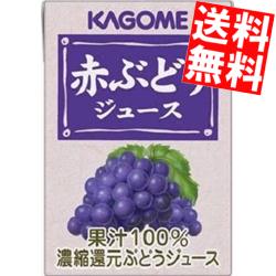 【送料無料】 カゴメ 赤ぶどうジュース 100ml紙パック 72本（36本×2ケース） 果汁100％ジュース ※北海道800円・東北400円の別途送料加算