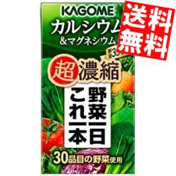 【送料無料】 カゴメ 野菜一日これ一本 超濃縮 カルシウム＆マグネシウム 125ml紙パック 24本入 野菜ジュース ※北海道800円・東北400円..