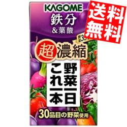 【送料無料】カゴメ野菜一日これ一本 超濃縮鉄分＆葉酸125ml紙パック 24本入[野菜ジュース]※北海道800円・東北400円の別途送料加算