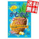 【送料無料】三菱食品かむかむゴー...