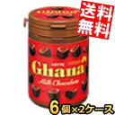 【送料無料】 ロッテ ガーナミルクボトル 118g×12ボトル(6ボトル×2セット) チョコレート ※北海道800円 東北400円の別途送料加算