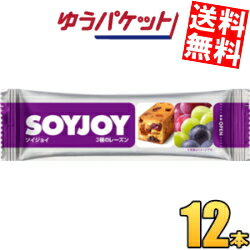 ゆうパケット送料無料 大塚製薬 SOYJOY（ソイジョイ） 3種のレーズン 12本入