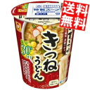 【送料無料】 東洋水産 マルちゃん 69gうまいつゆ 塩分オフ きつねうどん 24食(12食×2ケース) ※北海道800円・東北400円の別途送料加算