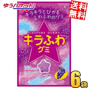 ゆうパケット送料無料 ノーベル 50gキラふわグミ グレープ味 6袋入 グミのサムネイル