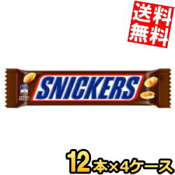 【送料無料144本】アサヒフード 1本満足バー プロテインチョコ 144本[72本(9本入×8箱)×2ケース] プロテインバー 一本満足 ※北海道800円・東北400円の別途送料加算 [39ショップ]