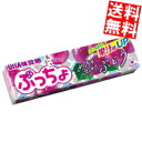 【送料無料】 味覚糖 10粒ぷっちょ ぶどう 20本(10本×2セット) ※北海道800円・東北400円の別途送料加算