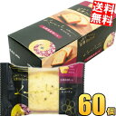 ケース販売【送料無料】 金澤兼六製菓 カナルチェ 五郎島金時いもケーキ 60個(10個×6ケース) 金澤ドルチェ 金沢ドルチェ パウンドケーキ 洋菓子 スイーツ 個包装 お土産 おみやげ 進物 ※北海道800円・東北400円の別途送料加算