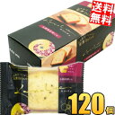 2ケース販売【送料無料】 金澤兼六製菓 カナルチェ 五郎島金時いもケーキ 120個(10個×12ケース) 金澤ドルチェ 金沢ドルチェ パウンドケーキ 洋菓子 スイーツ 個包装 お土産 おみやげ 進物 ※北海道800円・東北400円の別途送料加算