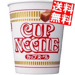 【送料無料】日清 77gカップヌードル 40食(20食×2ケース) ※北海道800円・東北400円の別途送料加算