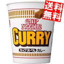 【送料無料】日清 87gカップヌードル カレー 40(20食×2ケース)※北海道800円・東北400円の別途送料加算