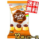 【送料無料】 グリコ ちょこっとプッチンプリン カスタード 120g(20g×6個入)×24袋(12袋×2セット) プッチンプリン ※北海道800円・東北400...