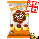 【送料無料】 グリコ ちょこっとプッチンプリン カスタード 120g(20g×6個入)×12袋 プッチンプリン ※北海道800円・東北400円の別途送料加算