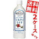 【送料無料】 キリン 世界のKitchenから ソルティ ライチ【手売り用】 500mlペットボトル 48本(24本×2ケース) ソルティライチ 熱中症対策 ※北海道800円 東北400円の別途送料加算 kirin2023cp