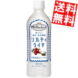  キリン 世界のKitchenから ソルティ・ライチ 500mlペットボトル 24本入 ソルティライチ 熱中症対策 ※北海道800円・東北400円の別途送料加算 kirin2023cp