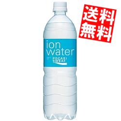 【送料無料】大塚製薬ポカリスエット イオンウォーター900mlペットボトル 12本入 〔ION WATER〕[スポーツドリンク]※北海道800円・東北400円の別途送料加算