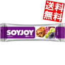 【送料無料】 大塚製薬 SOYJOY(ソイジョイ) 3種のレーズン 96本(48本×2ケース) ※北海道800円・東北400円の別途送料加算