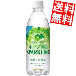 クーポン配布中 ポッカサッポログリーンシャワー500mlペットボトル24本入※北海道800円・東北400円の別途加算