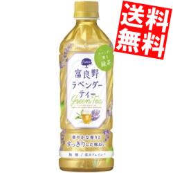 【訳あり 配送希望日指定不可 期限間近2025年9月13日】 【商品凹み有・箱損傷のため補強もしくは別箱に詰め替えて出荷】【送料無料】ポッカサッポロ富良野ラベンダーティー500mlペットボトル 24本入※北海道800円・東北400円の別途送料加算のサムネイル