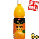 【送料無料】 えひめ飲料 POM ポン ギュっと丸搾りみかん 800mlペットボトル 6本入 ポンジュース みかん ミカン オレンジジュース ギュッと丸搾りみかん ※北海道800円・東北400円の別途送料加算