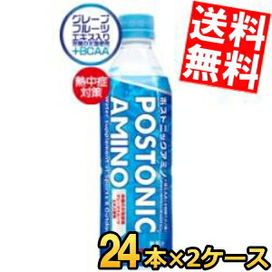 【送料無料】 サンガリア 氷晶 ポストニックアミノ 500gペットボトル 48本(24本×2ケース) スポーツドリンク スポドリ 熱中症対策 ※北海道800円・東北400円の別途送料加算