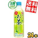 【送料無料】 サンガリア 氷晶 お茶 490gペットボトル 24本入 ※北海道800円・東北400円の別途送料加算