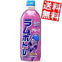 サンガリアグレープラムボトル500gボトル缶 24本入※北海道800円・東北400円の別途送料加算