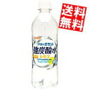 【送料無料】 【炭酸充填量5.0GV レモン】 サンガリア 伊賀の天然水 強炭酸水 レモン 500mlペットボトル 24本入 ※北海道800円・東北400円の別途送料加算