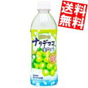 【送料無料】サンガリアつぶつぶナタデココ入り白ぶどう500mlペットボトル 24本入※北海道800円・東北400円の別途送料加算