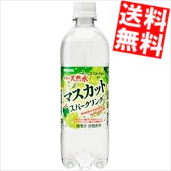 【訳あり 配送希望日指定不可 期限間近2025年4月28日】【商品凹み有・箱損傷のため補強もしくは別箱に詰め替えて出荷】【送料無料】 サンガリア 伊賀の天然水 マスカットスパークリング 500mlペットボトル 24本入 ※北海道800円・東北400円の別途送料加算のサムネイル