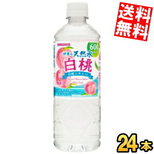 【送料無料】サンガリ