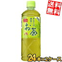 【送料無料】 サンガリア あなたの抹茶入りお茶 600mlペットボトル 48本(24本×2ケース) ※北海道800円・東北400円の別途送料加算