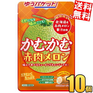 ゆうパケット送料無料 三菱食品 かむかむ赤肉メロン 30g×10袋入 ソフトキャンディー