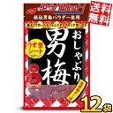 ゆうパケット送料無料 ノーベル おしゃぶり男梅 薄型シート 10g×12袋(6袋×2ボール) うめ