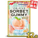 ゆうパケット送料無料 12袋 ノーベル 50gSORBET ソルベットグミ 白桃味 12袋(6袋×2セット) ソルベット グミ もも