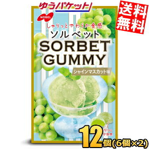 ゆうパケット送料無料 ノーベル 50gSORBET ソルベットグミ シャインマスカット味 12袋(6袋×2ボール) ソルベット グミ