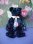 TY ӡˡ٥ӡBEANIE BABIES POPS ޡ̤