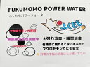 フクロモモンガ 専用 微酸性次亜塩素酸水 ボトル入り300ml詰め替え用1L消毒 消臭