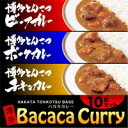 博多とんこつバカカカレー★2011年3月7日AM9:59までポイント10倍♪【10P01Mar11】