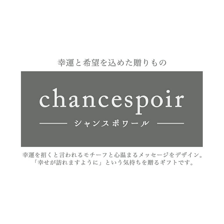 今だけ!!タオルチーフプレゼント中♪chancespoir シャンスポワール ギフトセット（スリムバスタオル1枚、フェイスタオル1枚）ギフト プレゼント 幸運 リボン 虹 鍵 速乾 かわいい おしゃれ 綿 粗品 結婚 出産 内祝 箱 メッセージ