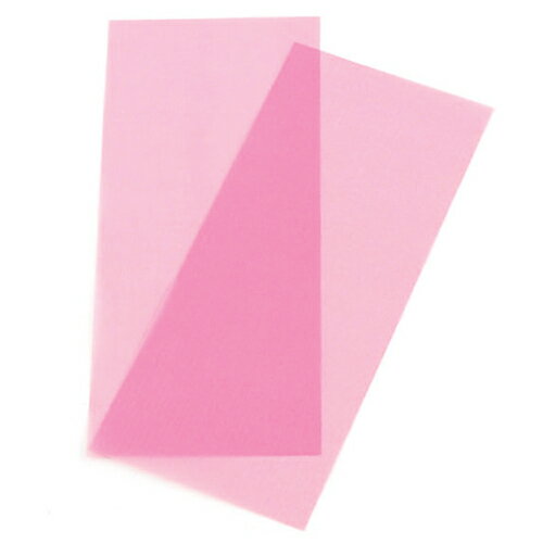 【送料込・まとめ買い×4点セット】藤原産業 SK11 Mポリネット両面ヤスリ2枚入 WA#1000