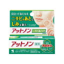 【送料込・まとめ買い×10点セット】小林製薬 アットノン ニキビあと ケア ジェル 10g