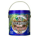 【最大半額!令和セール】ライオンケミカル ライオンかとり 線香 ジャンボ 50巻 缶入り