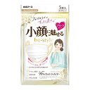 【夜の市★合算2千円超で送料無料対象】白元アース ビースタイル プリーツタイプ マスク 5枚入 プレミアム ホワイト ふつう サイズ (90X165mm)(49...