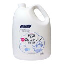 プロフェッショナル ビオレU泡ハンドソープ マイルドシトラスの香り 4L 業務用 Biore