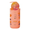 【送料込・まとめ買い×4点セット】クラシエ いち髪 濃密 W保湿ケア シャンプー ポンプ 480ml