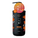 【まとめ買い×3点セット】クラシエ いち髪 濃密 W保湿ケア コンディショナー ポンプ 480g