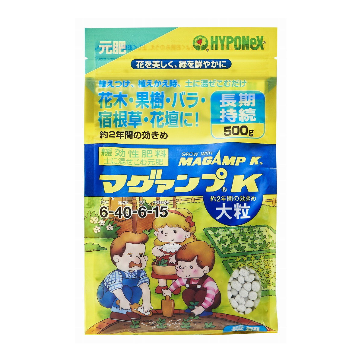 商品名：ハイポネックス マグァンプK 大粒 500g 花木・果樹・バラ・宿根草・花壇に 元肥内容量：500gJANコード：4977517012870発売元、製造元、輸入元又は販売元：ハイポネックスジャパン原産国：日本商品番号：101-4977517012870商品説明▼土に混ぜ込む緩効性肥料▼1回与えるだけで、ゆっくり長く効き続け、植物の生育を良くします。▼リンサン効果で丈夫な根をつくり、花・実つきを良くします。▼花木や果樹、バラや宿根草、山野草などの比較的植えかえの少ない植物に適しています。広告文責：アットライフ株式会社TEL 050-3196-1510 ※商品パッケージは変更の場合あり。メーカー欠品または完売の際、キャンセルをお願いすることがあります。ご了承ください。